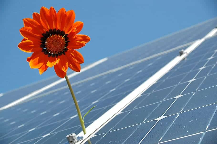How to Get More Solar Leads in 2023 - LMH Agency