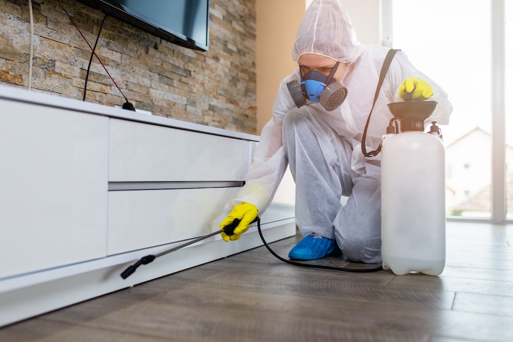 Best Pest Control Digital Marketing Company - LMH Agency